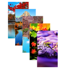 Backgrounds HD Wallpaper 4K icône