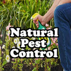 Natural Pest Control icône