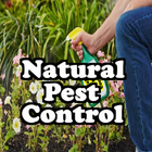 آیکون‌ Natural Pest Control