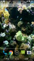 Natural Aquarium Wallpaper screenshot 1