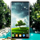 آیکون‌ Tree Forest Live Wallpaper