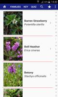 Flowers of Britain โปสเตอร์