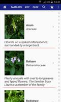 Flowers of Britain ภาพหน้าจอ 1