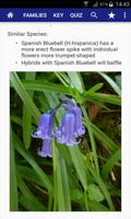 Flowers of Britain ภาพหน้าจอ 3