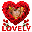 Lovely Roses