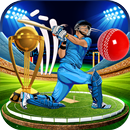Play 3D Cricket World Cup APK