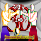 Naija Boxing 3D_ icono