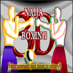 Naija Boxing 3D_