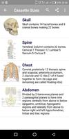 Basic Radiographic Positioning 截圖 2