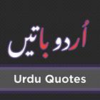 Urdu Baatein-icoon