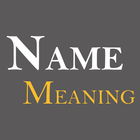 My name meaning - NameApp icône