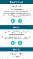 Poster 99 Names of Muhammad