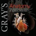 Gray's Human Anatomy- Latest E icône