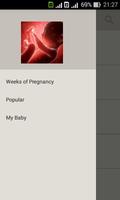 Pregnancy week by week. Expecting baby. Diary Affiche