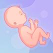 Pregnancy, Childbirth, Prenata