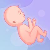 Pregnancy, Childbirth, Prenata icône