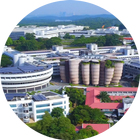 Nanyang - Wiki icon