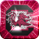 South Carolina Live Wallpaper APK