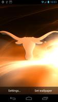 Texas Longhorns LIVE WPs plakat