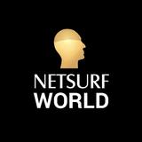 Netsurf World icône