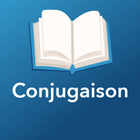 Conjugaison icône