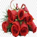 Поздравительные открытки, цвет APK