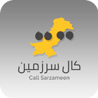 Call Sarzameen icône