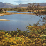 カトリーヌよ、さようなら