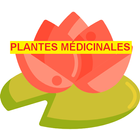 PLANTES MÉDICINALES 아이콘