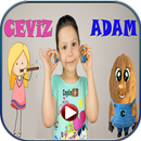 Ceviz Adam Şarkısı - 2019 APK