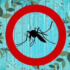 Som irritante de mosquito