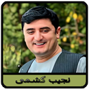 آهنگ های نجیب کشمی 2026 APK