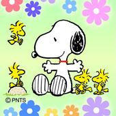 Telecharger フラワースヌーピー ライブ壁紙 トライアル版 Pour Pc Gratuit Windows Et Mac