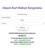 BAKİYE SORGULAMA screenshot 1