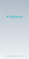 Sapience Insights Cartaz