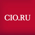 Chief Information Officer CIO icon