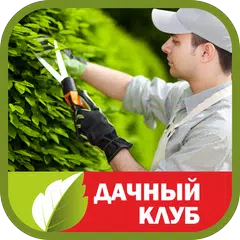 Dacha Icon