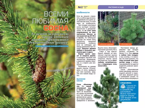Screenshot 12 for Dacha