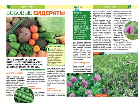 Screenshot 2 for Dacha