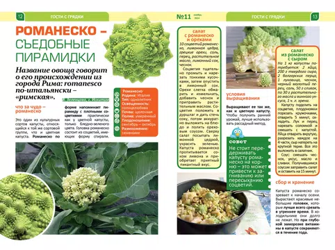 Screenshot 8 for Dacha
