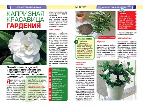 Screenshot 7 for Dacha