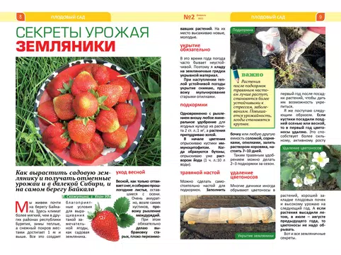 Screenshot 9 for Dacha