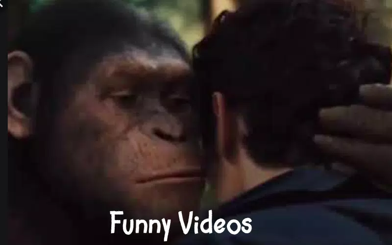 Best Madlipz ~ Funniest Video APK for Android Download Best Madlipz ~ Funniest Video APK for Android Download