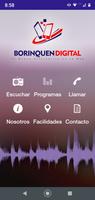 Borinquen Digital poster