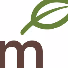 Metro Market XAPK 下載