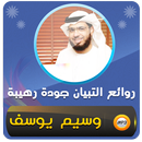 الشيخ وسيم يوسف روائع التبيان APK