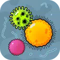 Bacteria