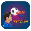 Naija Tip Predictions. 圖標