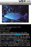 برنامه‌نما 南国魚ガイドLE عکس از صفحه