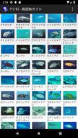 南国魚ガイド(1700種の魚図鑑) スクリーンショット 2